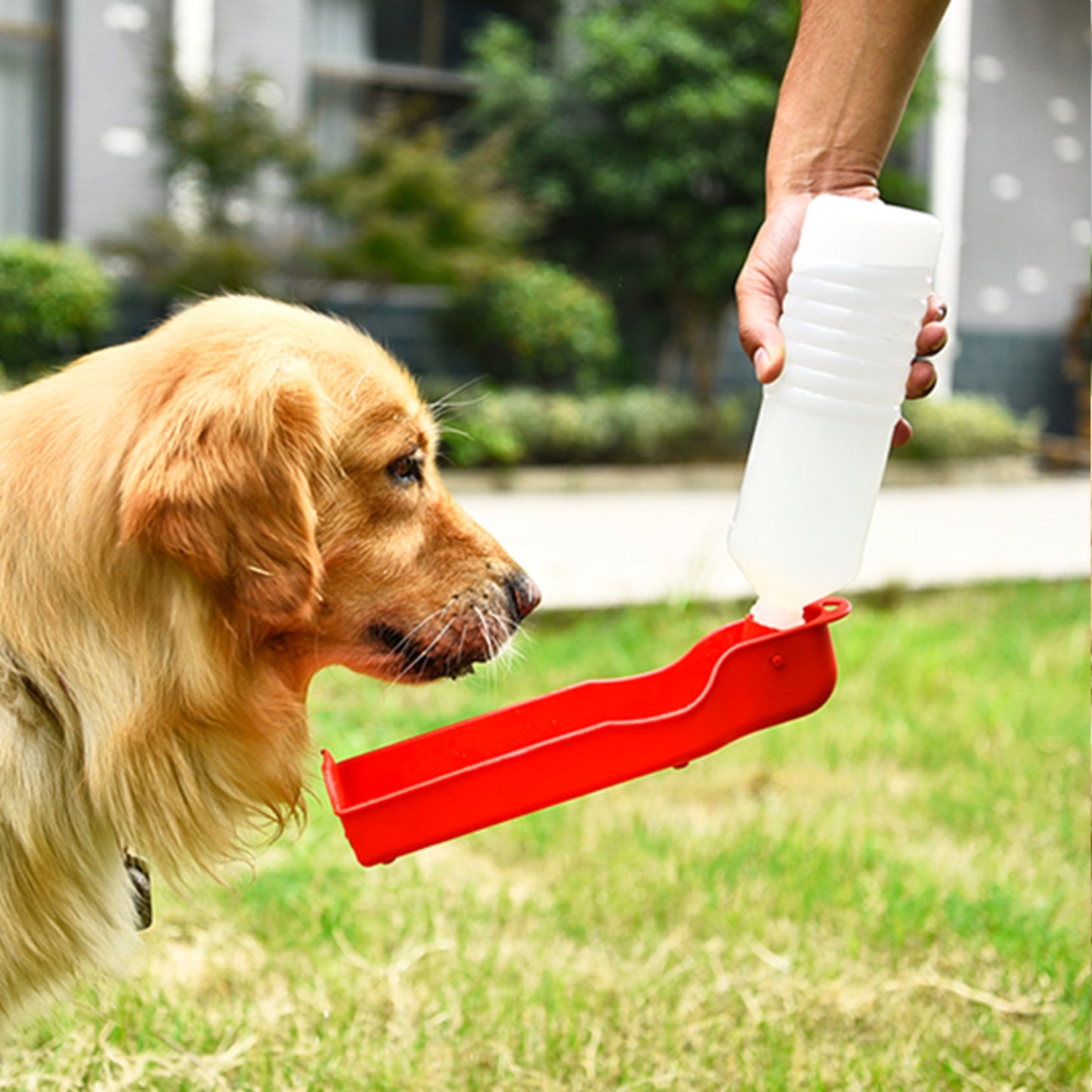 Portable Pet Water Bowl Bottle Drinking Fountain