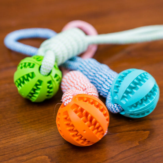 Durable Rubber Ball Chew Toy with Rope